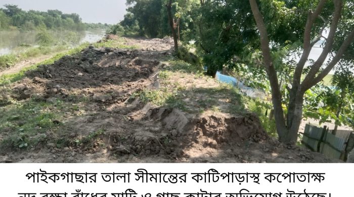 কপোতাক্ষ নদ রক্ষা বাঁধের মাটি ও গাছ কাটার অভিযোগ