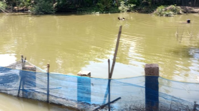 পাইকগাছায় প্রতিপক্ষের বিরুদ্ধে মুক্তিযোদ্ধা পরিবারের জমি জোরপূর্বক জবরদখলে রাখার অভিযোগ