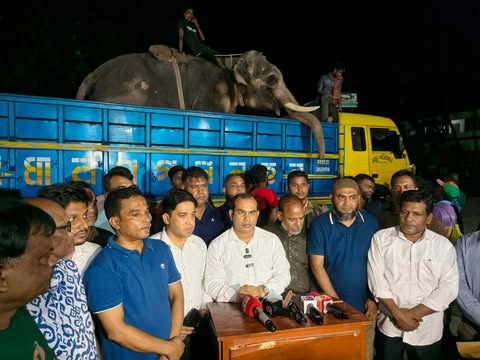 প্রধানমন্ত্রীর নির্দেশে মুক্তি পেল ‘বাদশা বাহাদুর’ — বগুড়া থেকে জাতীয় চিড়িয়াখানার পথে অসুস্থ হাতি