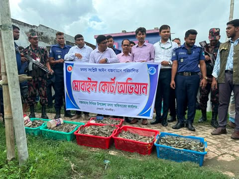 দেবহাটায় মৎস্য অধিদপ্তরের অভিযানে ১শত কেজি পুশকৃত চিংড়ি বিনষ্ট, জরিমানা আদায়