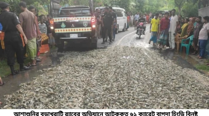 আশাশুনিতে মোবাইল কোর্ট ১৩ লক্ষ টাকার বাগদা বিনষ্ট