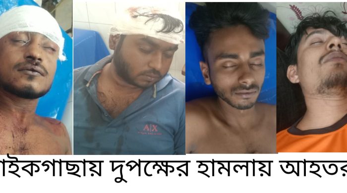 পাইকগাছার কপিলমুনিতে দুপক্ষের মধ্যে হামলা ও মারপিট ; ৩ ভাইসহ আহত-৪