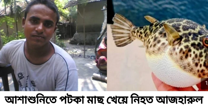আশাশুনিতে পটকা মাছ খেয়ে একই পরিবারের ৪ জন অসুস্থ, প্রাণ গেল গৃহকর্তার