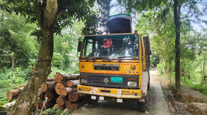 মোকামতলায় সামাজিক বনায়নের গাছ চুরি করে কাটার অভিযোগে মামলা, বিএনপি নেত্রী ও ইউপি ভারপ্রাপ্ত চেয়ারম্যানসহ আসামি ৭