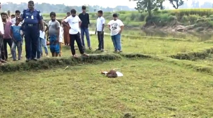 রাণীশংকৈলে কুলিক নদী ব্রিজের পাশে অজ্ঞাত নবজাতকের নিথর দেহ উদ্ধার- এলাকায় চাঞ্চল্য